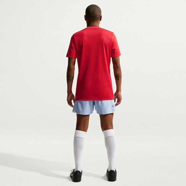 Camiseta Dri-FIT Nike Park Masculina