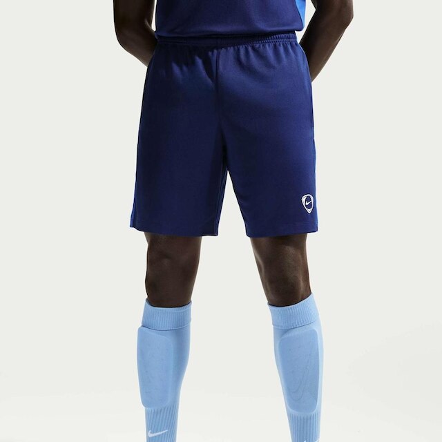 Shorts Dri-FIT Nike Academy+ Masculino